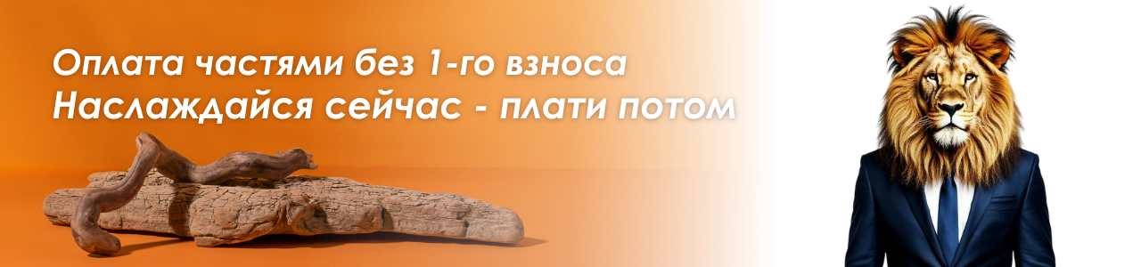 Окна в Витебске